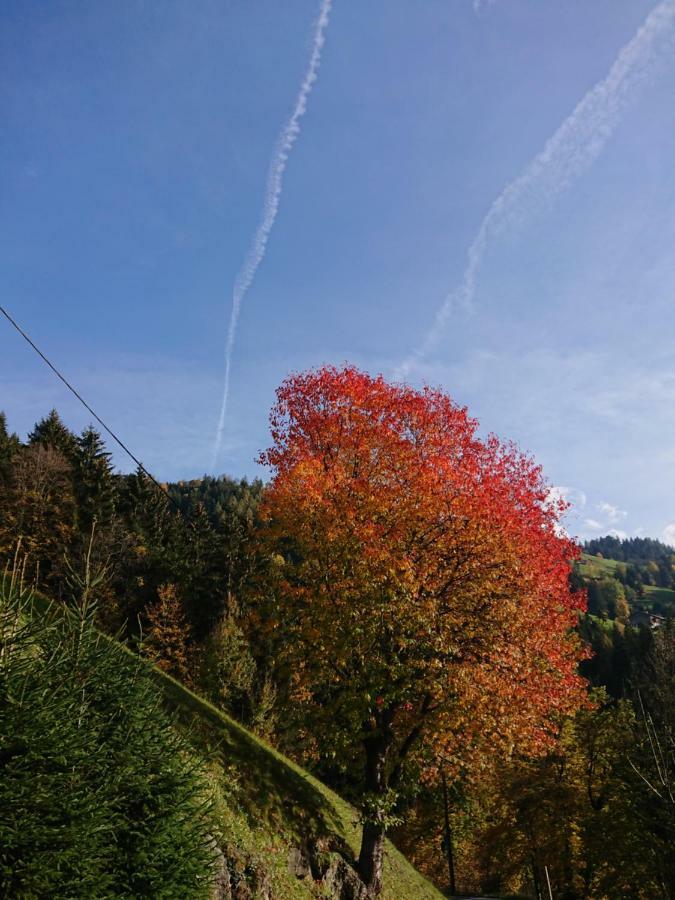Apart Pfister Aschau Im Zillertal Kültér fotó